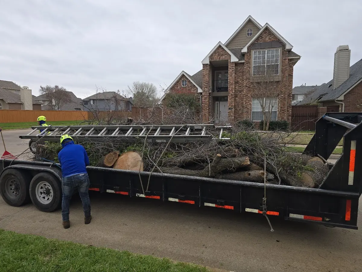 Expert Crown Reduction with proper safety equipment in Oak Run
